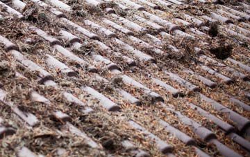 Darleyhall roof cleaning companies